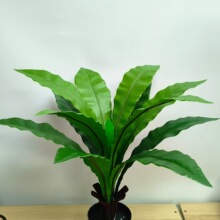 ����ާ�ֲ���B��ާ�Gֲ�辰�����ָоG�~ާ�~؛Դ�߷�����滨