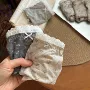 新款少女抑菌性感三角裤