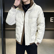 品牌国标50%鸭绒羽绒服男2024冬季休闲时尚立领保暖羽绒男装外套