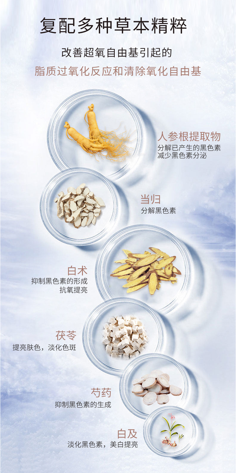 美白祛斑霜熊果苷祛黄提亮肤色补水保湿滋润淡斑精华面霜护肤套装化妆品代发批发