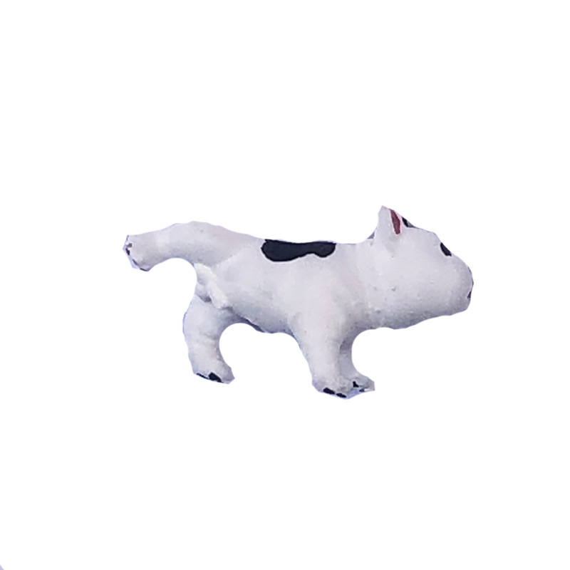 Bulldog peeing black and white