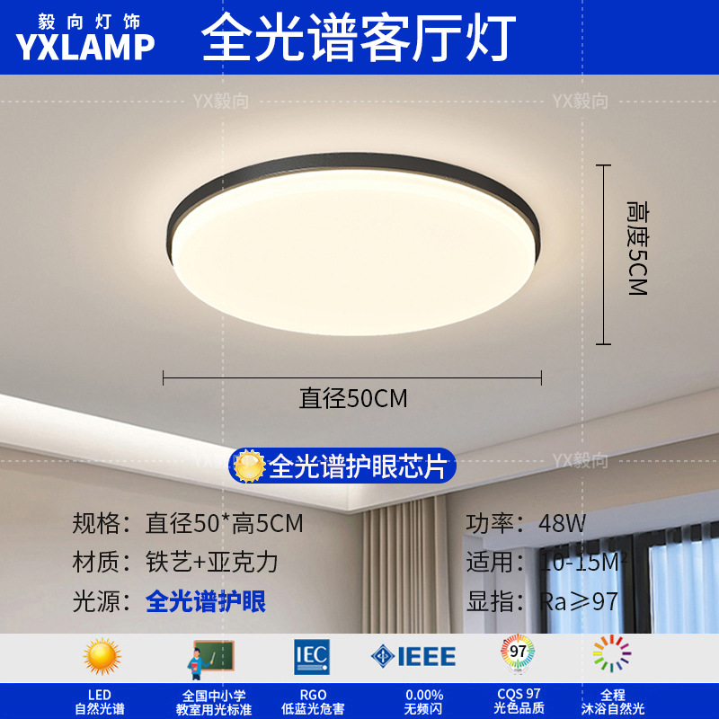 Luz de techo moderna y simple atmósfera 2025 nueva casa creativa Zhongshan paquete de lámparas de sala de estar lámpara principal