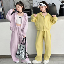 女童套装秋装2025新款洋气儿童韩版时髦中大童春秋连帽运动两件套