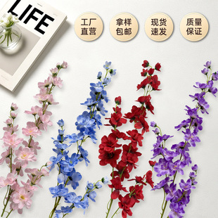 �����֧3���w�ࣨ�o�~�棩��c��Y�Ƶ겼�����Ż��ٻ��廨����