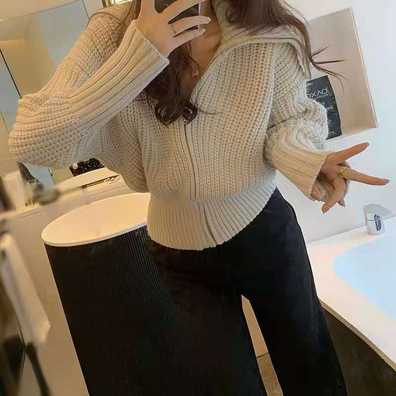 韩版代购拉链高级感毛衣秋冬外穿开衫设计感法式小众女2025年新款