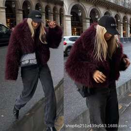 定制跨境欧美人造毛冬日翻领仿皮草保暖短外套懒惰风百搭毛毛上衣