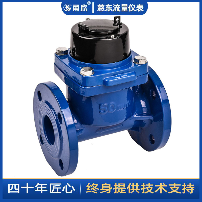 DN65水车农用灌溉水表R40 厂家批发自来水冷水表热水表