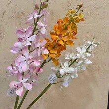 ���滨�ָ��f���mʯ���m�ٻ�ǧ���m��cС�����m��ˇ�b����