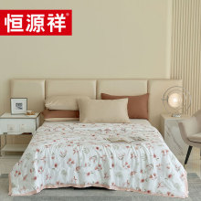 恒源祥花期如梦天丝夏被莱赛尔天丝夏被 夏凉空调被子被芯TSB2053