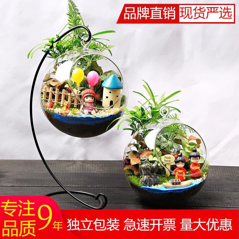 16 см верхний рот мох микро пейзаж экологическая подвесная бутылка DIY Материал Пакет настольный мини-зеленое растение цветок маленькое растение в горшке