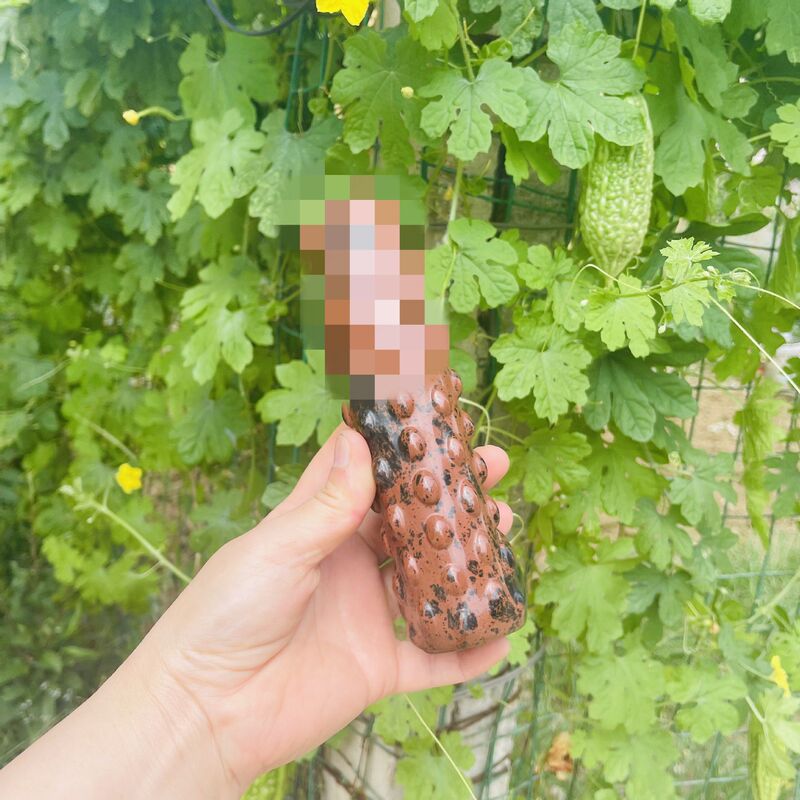 红曜石 水晶按摩棒 图 3