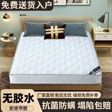 ϯ��˼���|���z�o��Ҭ�ت�������23cm���׏��ɴ��|����Ҭ�ش��|