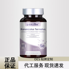 Taraxacum-Mongolicum36g 多種類エキス ドロップシッピング卸売工場直販