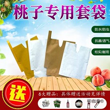 �S�Ҵ�Ě�ȶ��Ҍ����״���������p�ӹ�����ˮ���x������S��̫��