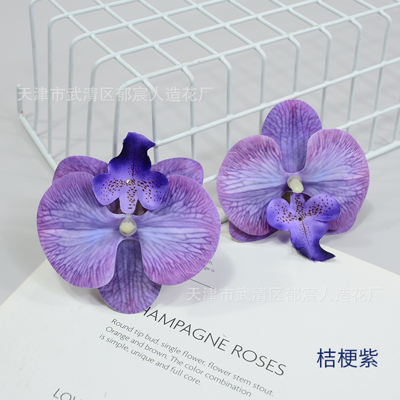 Platycodon grandiflorum 보라색