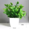 Cross Jianglong Potted