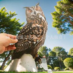 フクロウ鳥よけクロスボーダー吊り下げ装飾フクロウアメリカンホワイトヘッドイーグルホーム中庭の装飾