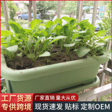 �̨�N�ˌ����仨��N���������L�l���߲˲�ݮ�Nֲ�軨�����бP