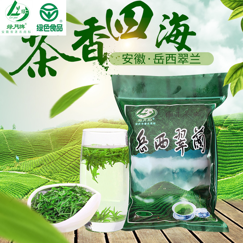 安徽岳西翠兰二级500g袋装绿茶甘醇爽口高山茶叶大别山云雾茶批发