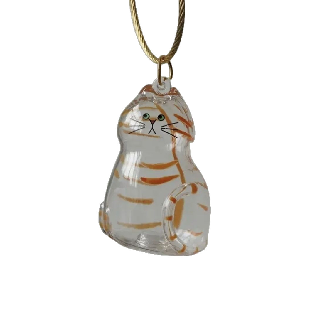 Caja de almacenamiento de pelo de gato transparente llavero Cápsula de almacenamiento de pelo de gato de alto valor colgante Caja de almacenamiento de pelo de mascota