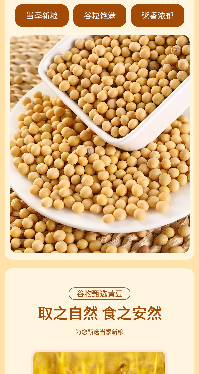 黄豆_03.jpg