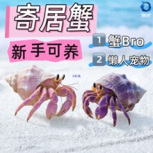 ����ľ�з������ﵭˮ��ݮ������ꑻҰ������^�pз���w���ˌ���