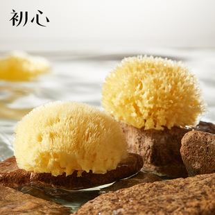 ���ċ냺ϴ�躣�d��������������Ȼ���d��ԡ��������ͯϴĘ�亣�d