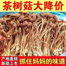 ���＃���ز�乽��؛��؛���_���乽�r�����r�����Ҝ�ʳ��