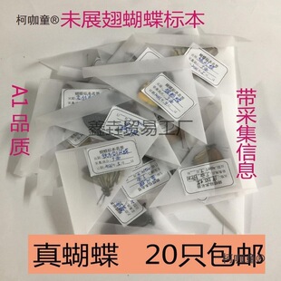 ������˱�δչ��ԭ��ԭ�x���ɼ���Ϣ�Ĕz�����ز��P����̫��̫��