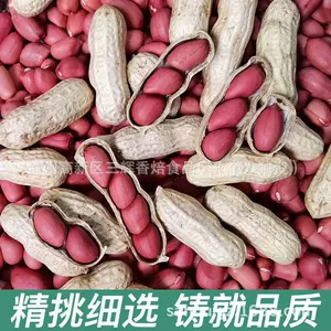 Свежий арахис с красной оболочкой в скорлупе, оригинальный вкус, жареный арахис с красной кожурой, новое поступление, сырой арахис в скорлупе, снеки, оптовая цена