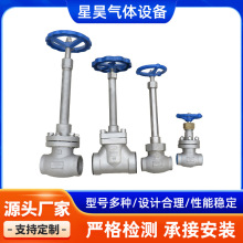 多规格不锈钢低温短轴插焊截止阀DJ61F-40P液氧液氮LNG低温截止阀