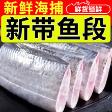 带鱼新鲜冷冻刀鱼中段特级大号东海小眼深海鱼鲜活海鲜冰鲜去头尾