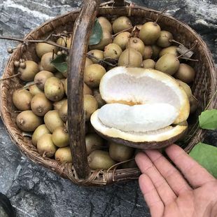 ���ڴ�ɽ�oëҰ���J�����ݾ�С�J�����ЋDˮ�����r��ժҰ�����S��