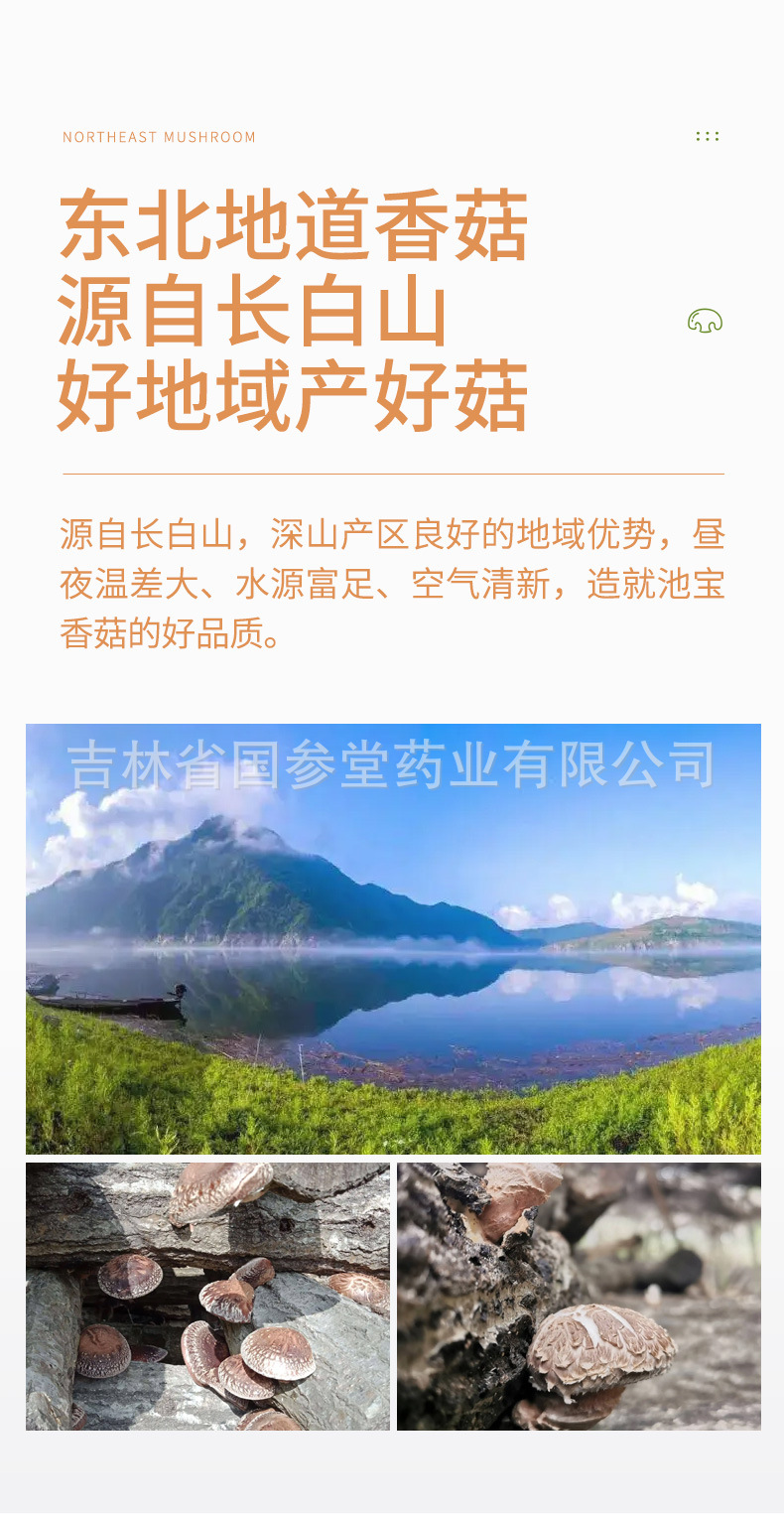 香菇_03.jpg