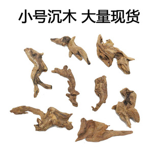 Selected Micro-landscape Landscaping Decoration Small Seedwood Water Grass Landscaping Seedwood Aquarium Landscaping Decoration Seedwood