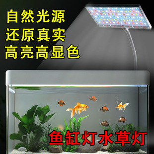 USB Aquarium Light for Stream Tanks, Full-Spectrum Aquatic Plant Tank Lamp with Clip, Led Lamp with Timer Control