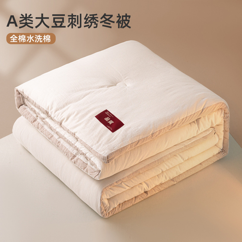 2025 New Model A-Grade Quality Washed Cotton Soybean Embroidery Thickened Autumn and Winter Quilt for Students, Single and Double Size, Warm Quilt Core