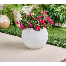 Y 40552 Ceramic Cement Planter Moss Landscape Plant ˮ���޿�