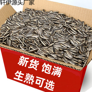 ԭζ���������ӿ�������؛�F������Ӄ��ɹ��д��w�����lɢ�b��؛