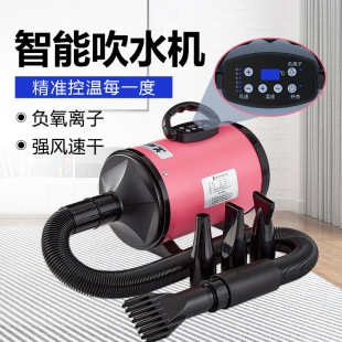 Pet water blower medium and large dog dog high-power hair dryer dog golden hair cat hair drying box supplies