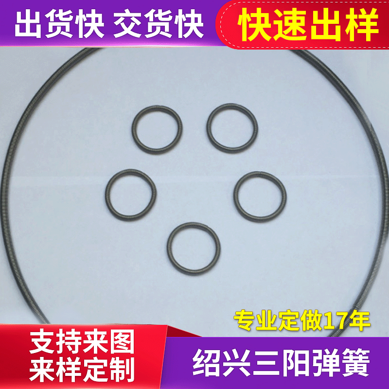 厂家供应油封弹簧 不锈钢密封弹簧 来图来样环形弹簧圈
