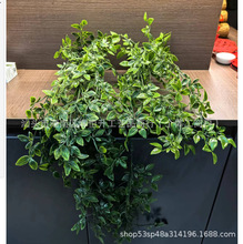 �羳�Ғ���������_�Gֲ���ԽM�����b �҃ȼҾ��b�Ʒĥɰ������
