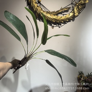 Gֲ˽˽Ž~B~ֲ[bzӰ