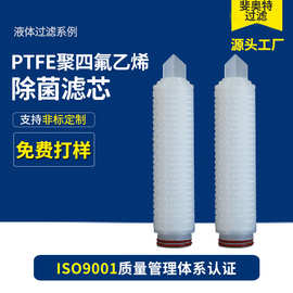PTFE聚四氟乙烯除菌滤芯Pall耐高温耐酸碱可蒸汽灭菌液体除菌滤芯
