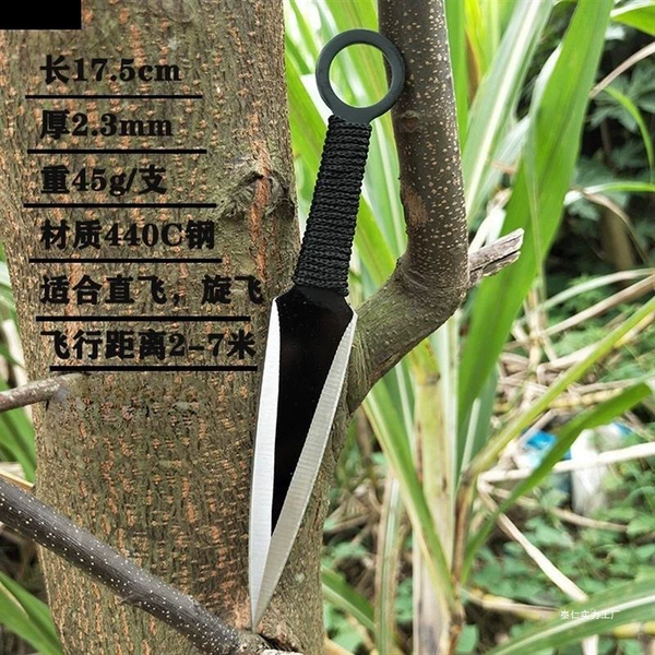The target is 50*50*5 cm thick
