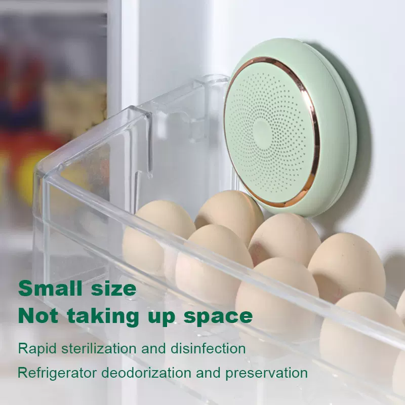 跨境冰箱除味器家用厨房臭氧杀菌消毒宠物除异味除臭空气净化器
