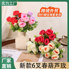 6�洺���Jõ��[����c�ٻ��b����zӰ����Сõ�廨�����Q�羳