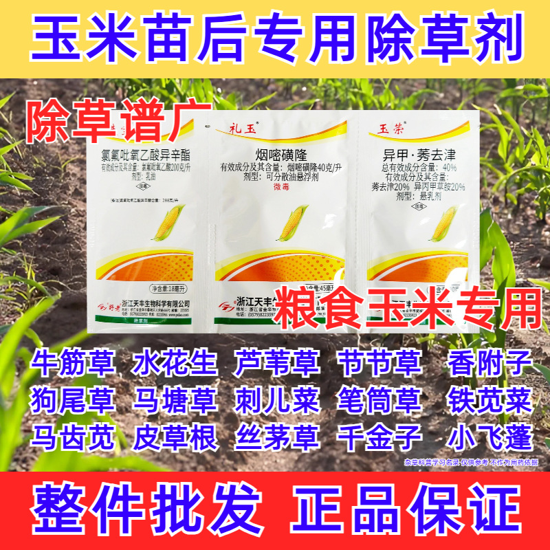 农药拿货批发荣宝玉玉米苗后除草剂烟嘧磺隆氯氟乙酸三连袋