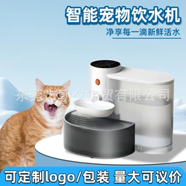 猫猫玩具;助威道具;狗狗食具