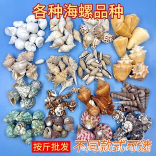 ������Ȼ����ؐ����ˇƷ�Ĳİ������l����diy���μo��Ʒ�~���b�